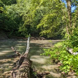 Weirton Community Park - Weirton