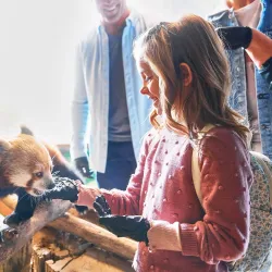 Oglebay Good Zoo - Wheeling