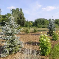 Appleton Memorial Park - Appleton