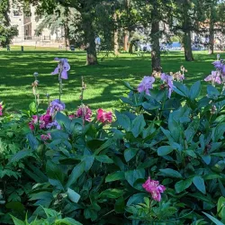 Lawrence University - Appleton