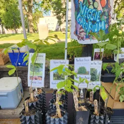 Baraboo Farmers Market - Baraboo