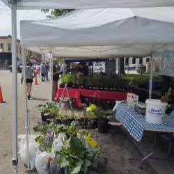 Baraboo Farmers Market - Baraboo
