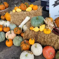 Baraboo Farmers Market - Baraboo