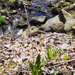 Baraboo Hills - Baraboo