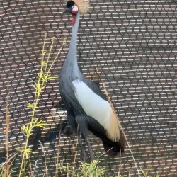International Crane Foundation - Baraboo