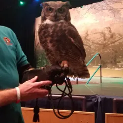 River Arts Center - Baraboo