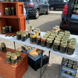 Beaver Dam Farmers Market - Beaver Dam