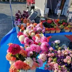Beaver Dam Farmers Market - Beaver Dam