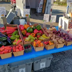 Beaver Dam Farmers Market - Beaver Dam