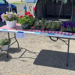 Beaver Dam Farmers Market - Beaver Dam
