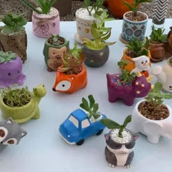 Beaver Dam Farmers Market - Beaver Dam