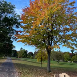 Hansen Park - Beaver Dam