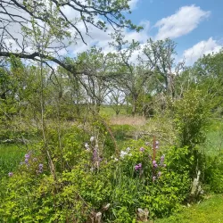 DeForest Area Trail System - DeForest