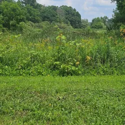 DeForest Area Trail System - DeForest