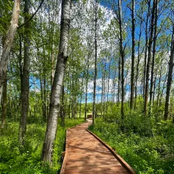 DeForest Area Trail System - DeForest