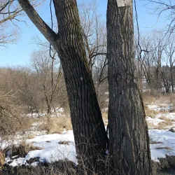 DeForest Area Trail System - DeForest