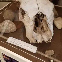 DeForest Historical Museum - DeForest