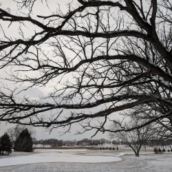 Lake Windsor Park - DeForest