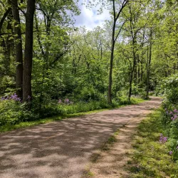 Pheasant Branch Conservancy - DeForest