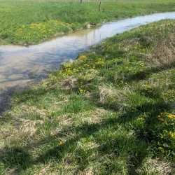 Pheasant Branch Conservancy - DeForest