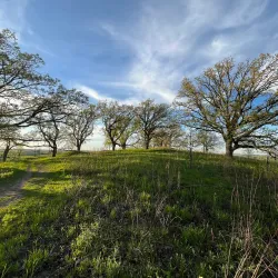 Pheasant Branch Conservancy - DeForest