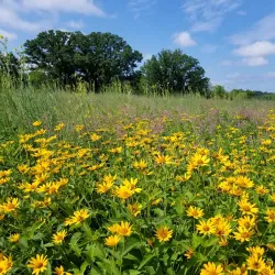 Pheasant Branch Conservancy - DeForest