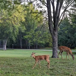 Mount Simon Park - Eau Claire