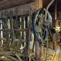 Paul Bunyan Logging Camp Museum - Eau Claire