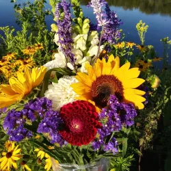 Phoenix Park Farmers Market - Eau Claire