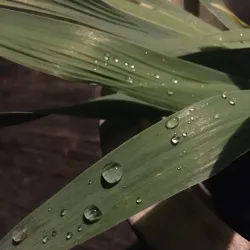 Elkhorn City Park - Elkhorn