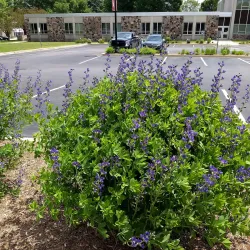 Veterans Memorial Park - Elkhorn