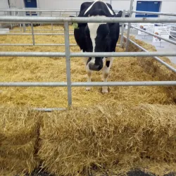 Fond du Lac Civic Center - Fond du Lac