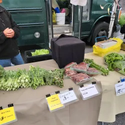 Fond du Lac Farmers Market - Fond du Lac