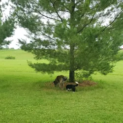 Riverview Park - Fond du Lac