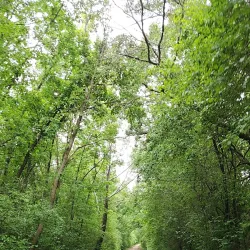 Wild Goose State Trail - Fond du Lac