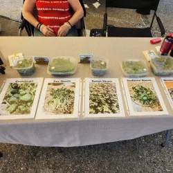 Fort Atkinson Farmers Market - Fort Atkinson