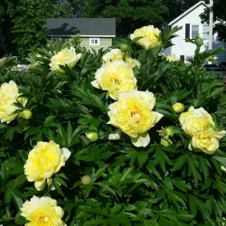 Hoard Historical Museum - Fort Atkinson