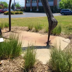 Fox River Trail - Green Bay