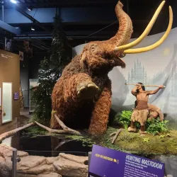 Neville Public Museum - Green Bay