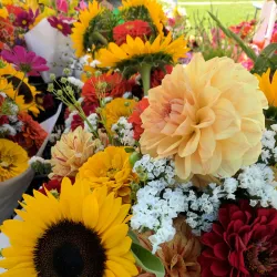 Kenosha HarborMarket - Kenosha