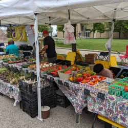 Kenosha HarborMarket - Kenosha