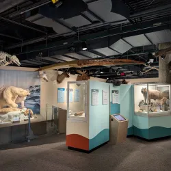 Kenosha Public Museum - Kenosha