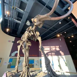 Kenosha Public Museum - Kenosha