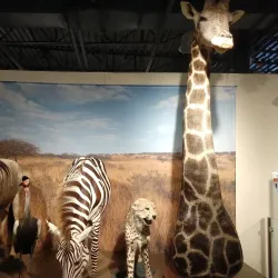 Kenosha Public Museum - Kenosha