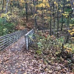 Hixon Forest - La Crosse