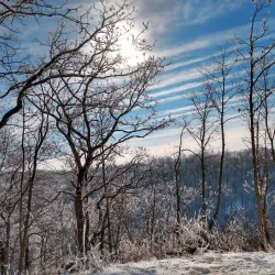 Hixon Forest - La Crosse