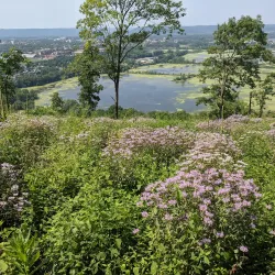 Hixon Forest - La Crosse