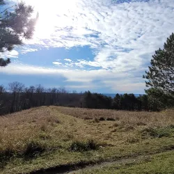 Hixon Forest - La Crosse