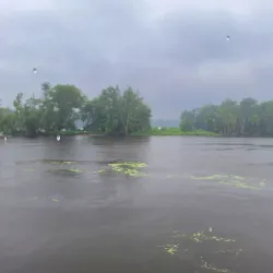 La Crosse Queen Riverboat - La Crosse