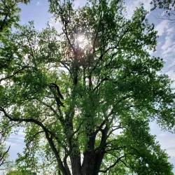 Myrick Park Center - La Crosse